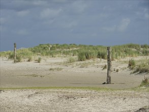 Lonely beach section with dune grass and wooden posts under a cloudy sky, lonely beach with dune