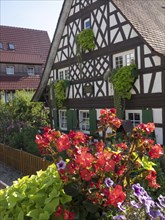 A half-timbered house with red flowers and green shutters under bright sunshine, old half-timbered