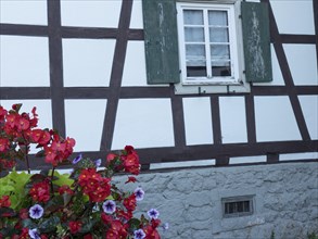 Detail of a half-timbered house with vivid red and blue flowers in front of a window with green