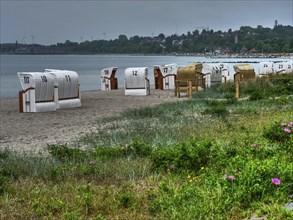 Beach chairs stand in a row on a sandy beach along the coast. The sky is cloudy, houses can be seen