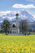 Pilgrimage church of St Coloman in spring, dandelion meadow, Schwangau, Fuessen, Ostallgaeu,