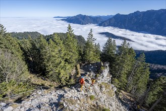 Two friends, mountaineers climbing the via ferrata to the rocky summit of the Ettaler Manndl, view