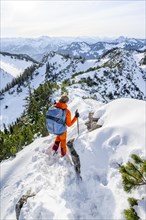 Hiker in winter climbing the Aiplspitz, Mangfall mountains, Bavarian Prealps, Bavaria, Tyrol,
