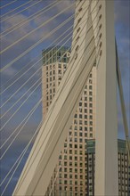 Close-up of a modern cable bridge in front of a skyscraper in the background under a blue sky with