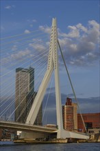 Bridge over a river with modern skyscrapers in the background and a cloudy sky, skyline of a modern