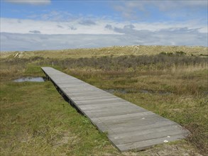 A wooden walkway runs through a dune landscape under a cloudy sky, wooden path through the dune,