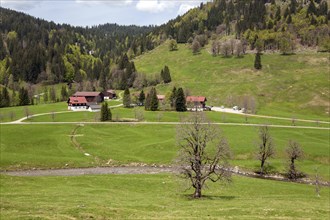 Rohrmoos, Rohrmoostal, Oberallgaeu, Allgaeu, Bavaria, Germany, Europe