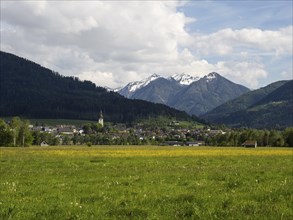 Meadow, church tower of Irdning, snow-covered mountain peaks in the background, Irdning, Styria,