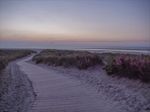 Wooden path through green dunes, to the sea, under a colourful sunset sky, setting sun on a beach