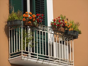 A small balcony with flowers in pots, green shutters and an air conditioner in front of an