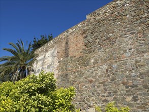 Historic stone wall with various plants and palm trees in front of a clear blue sky, stone walls of