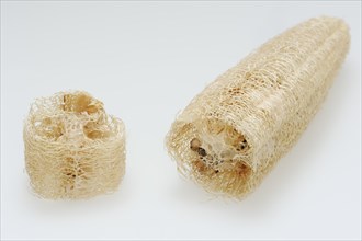 Sponge cucumber (Luffa aegyptiaca, Luffa cylindrica), fibrous interior of the ripe fruit, used as a
