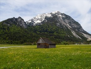 Hay barn on a meadow, behind the Grimming, near Irdning, Styria, Austria, Europe