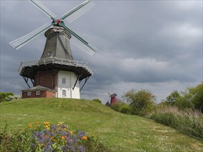Historic windmill on a green hill with colourful flowers, surrounded by nature and a cloudy sky,