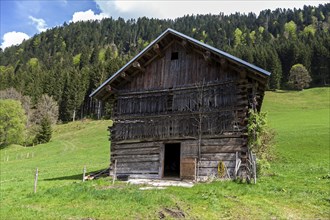 Heuschober, Kleinwalsertal, Vorarlberg, Austria, Europe