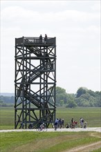 Cyclist, Elbe cycle path, Mahnkenwerder observation tower near Boizenburg, Mecklenburg-Western