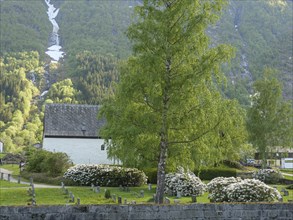 Green cemetery with gravestones, a tree and a white building in front of a mountain backdrop,