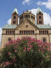 Front view of a church with towers, in the foreground a blooming rose bush and blue sky, blooming