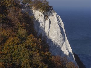White cliff ledge surrounded by colourful autumn trees with a view of the blue sea, autumn foliage