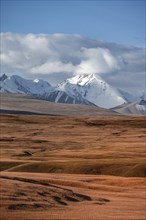 Glaciated and snow-covered mountains, autumnal plateau with yellow grass, Tian Shan, Sky Mountains,