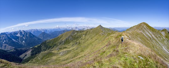 Mountaineer on a grassy ridge, idyllic mountain landscape with green mountain meadows, Carnic High
