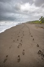 Footprints in the sand, sandy beach on the Caribbean coast, Tortuguero National Park, Costa Rica,