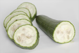 Sponge cucumber or sponge pumpkin (Luffa aegyptiaca, Luffa cylindrica), sliced fruit on a white