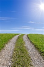 Stony field path through a spring meadow, Blue sky, Sun, Cloudy, Allgaeu, Bavaria, Germany, Europe