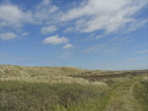 A nature trail leads through a hilly landscape with grass and dunes under a blue sky, dune and