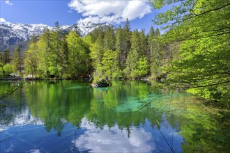Spring at Lake Badersee, Zugspitzdorf Grainau, Werdenfelser Land, Bavarian Alps, Upper Bavaria,