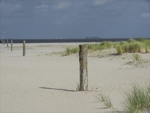 Empty dune landscape with wooden posts on the beach under a cloudy sky, lonely beach with dune