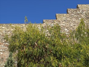 Stone wall of an old ruin, surrounded by plants, under a clear blue sky on a sunny day, stone walls
