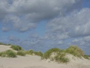 Grassy sand dunes under a sky with clouds, sand dune with dune grass on a beach in front of a
