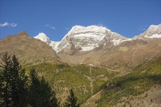 Snowy mountains surrounded by green forests and vegetation under a clear sky, snow on high