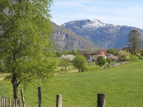 An idyllic farm with a red barn in a green valley surrounded by snow-capped mountains and flowering