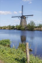 Windmill on the river bank with reeds and meadow under a blue sky, many historic windmills on a