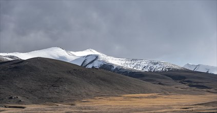 Autumnal plateau with brown grass, glaciated and snow-covered peaks, Ak Shyrak Mountains, near the