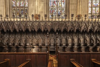 Cathedral, Erfurt, choir stalls, Thuringia, Germany, Europe