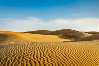 Dunes of Thar Desert. Sam Sand dunes, Rajasthan, India, Asia