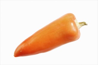 Paprika (Capsicum annuum), pepper on a white background