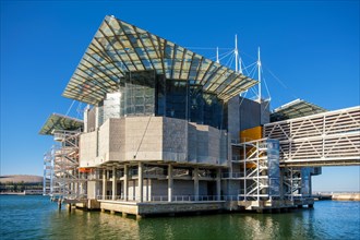 Lisbon, Portugal, July 28, 2023: The Lisbon Oceanarium one of the largest indoor aquariums in