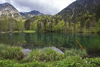 Christlessee, near Gottenried, Trettachtal, Oberstdorf, Oberallgaeu, Allgaeu, Bavaria, Germany,