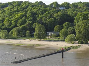 Quiet river beach surrounded by dense green trees and scattered buildings, green shore on a river