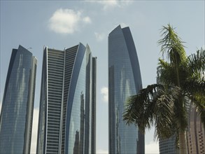 Group of modern glass skyscrapers with a palm tree in the foreground under a sunny sky, modern