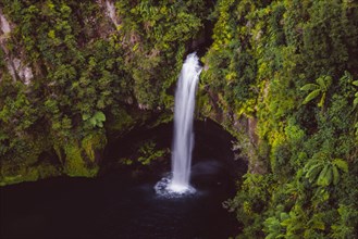 Omanawa Falls waterfall near Tauranga, New Zealand. Tropical nature surrounds the waterfall