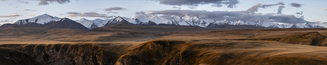 Panorama, Glaciated and snow-capped mountains, autumnal plateau with yellow grass, Tian Shan, Sky