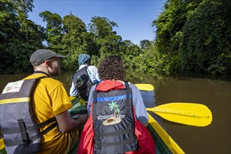 Tourists in a rowing boat on the Tortuguero River, watching animals in the rainforest, Tortuguero