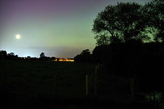 Northern lights (aurora borealis) over a meadow, Braunschweig, Lower Saxony, Germany, Europe