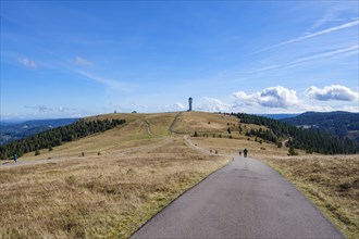 A sunny day in the hills with a lookout tower in the background and hikers on the way, Feldberg,