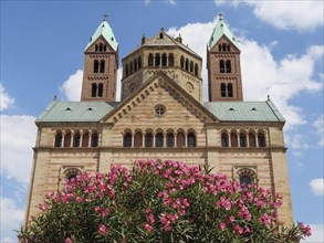 Historic cathedral with two towers, pink blooming flowers in the foreground and blue sky, blooming